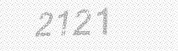 Visual security code — type the characters shown in the image